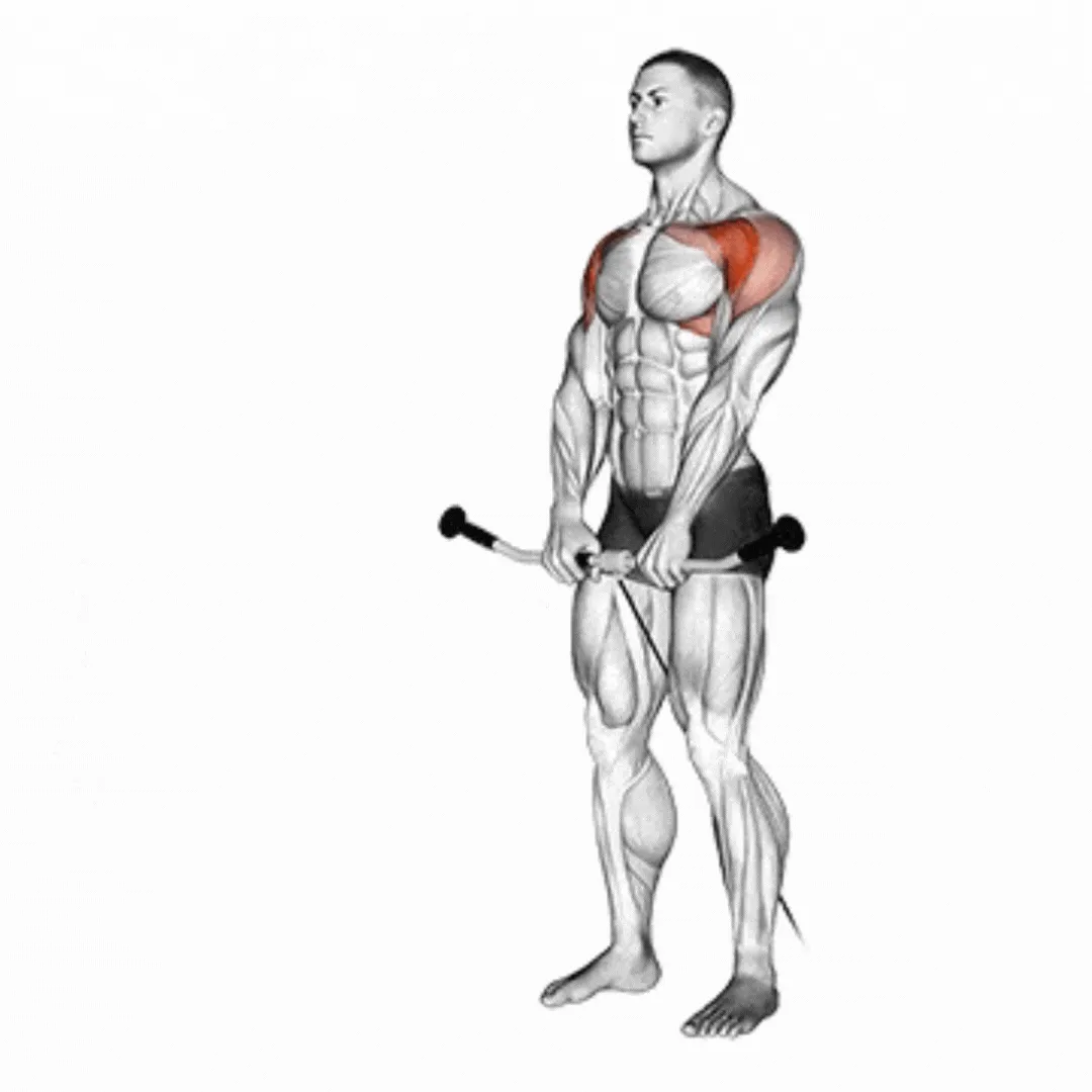 Cable Front Raise
