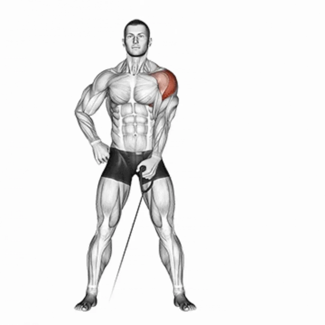 Cable Lateral Raise