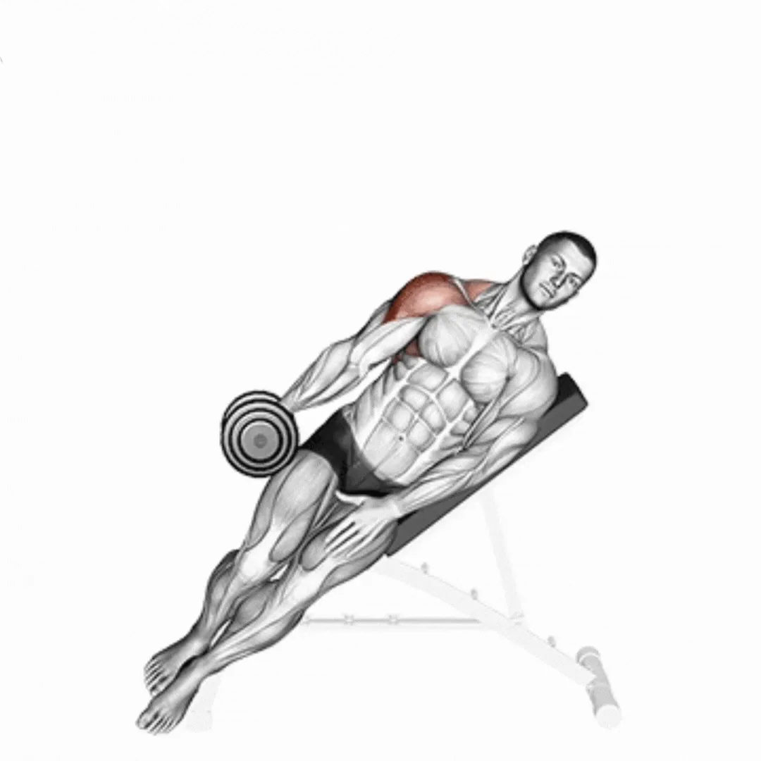 Incline Dumbbell Side Lateral Raise