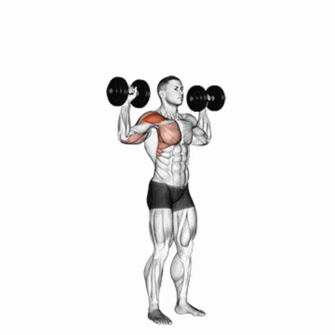Dumbbell Alternate Shoulder Press