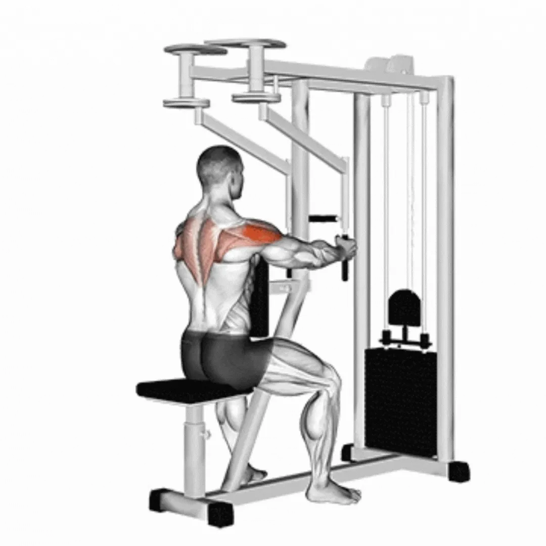 Lever Seated Reverse Fly