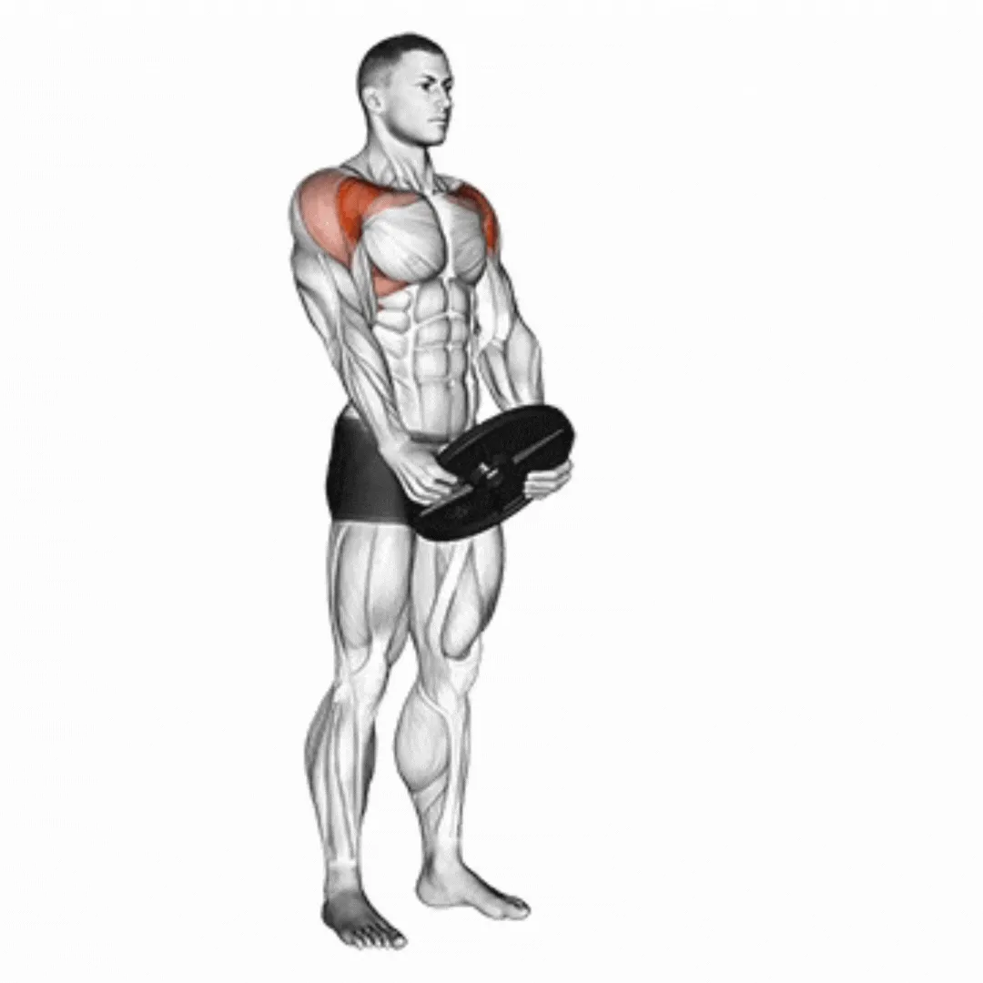 Plate Front Raise