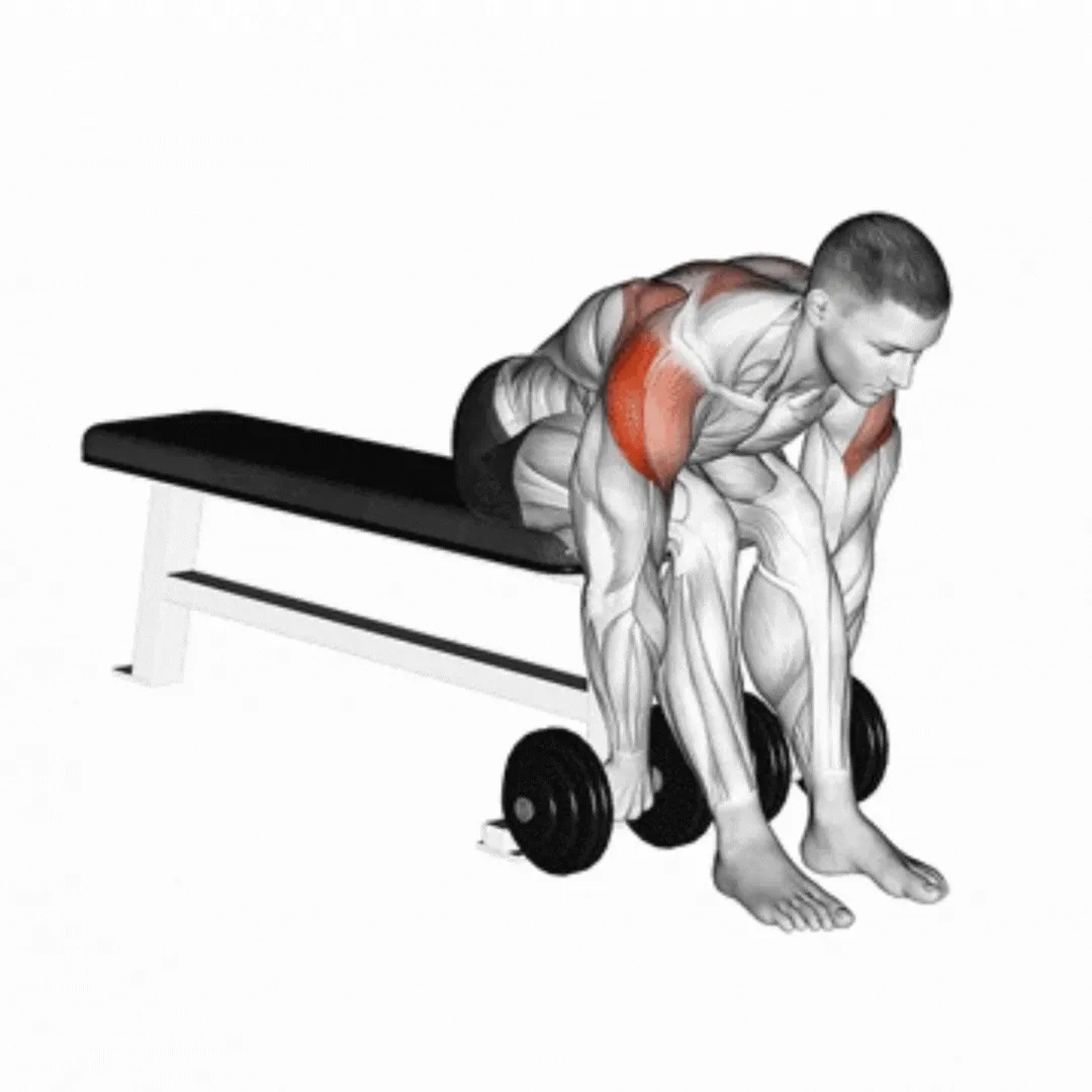 Dumbbell Bent Over Reverse Row On Bench