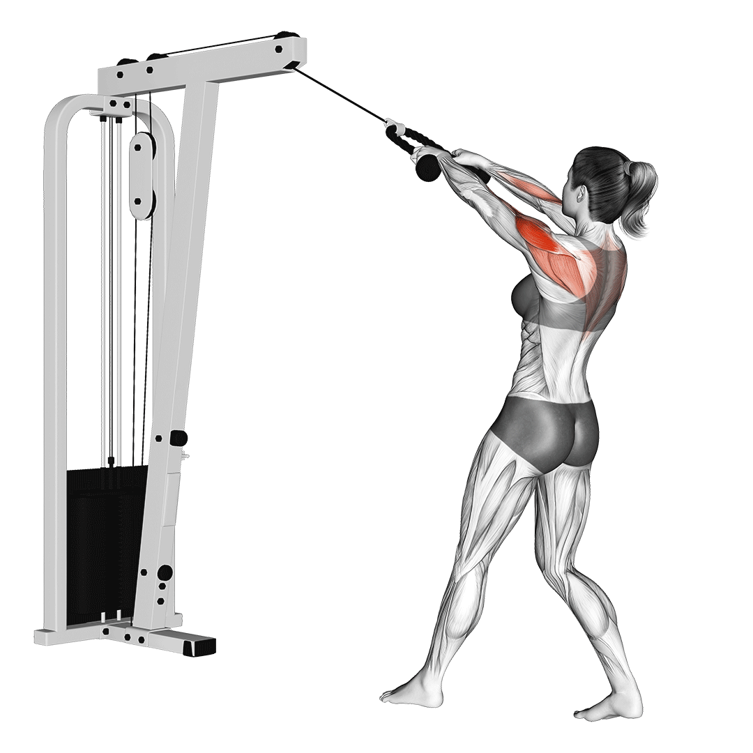 Cable Rear Delt Row