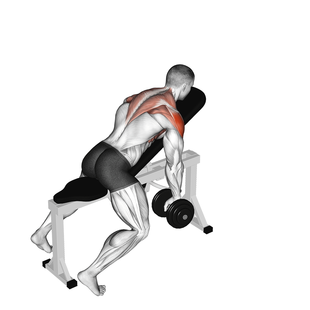 Dumbbell Incline Y Raise