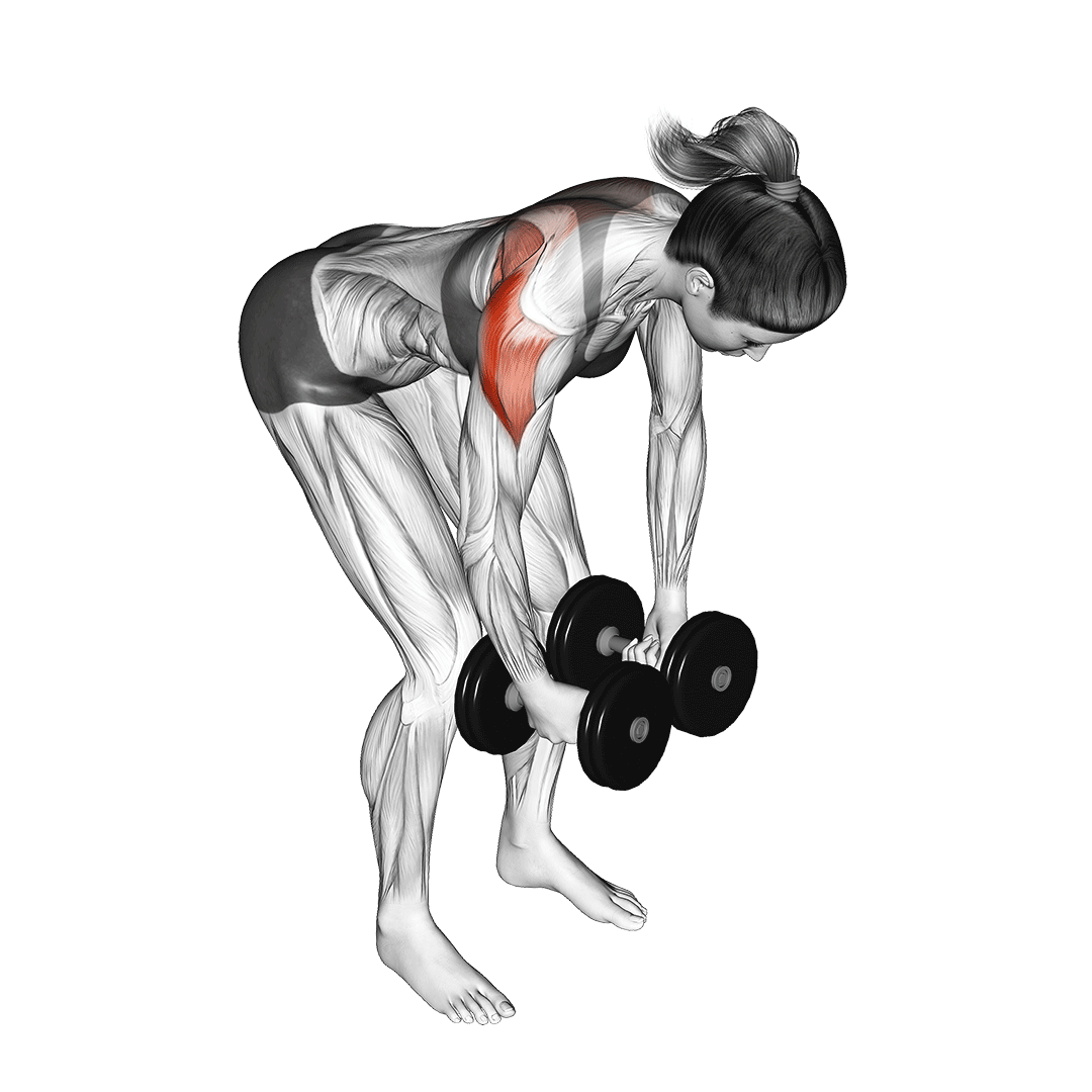 Rear Delt Fly