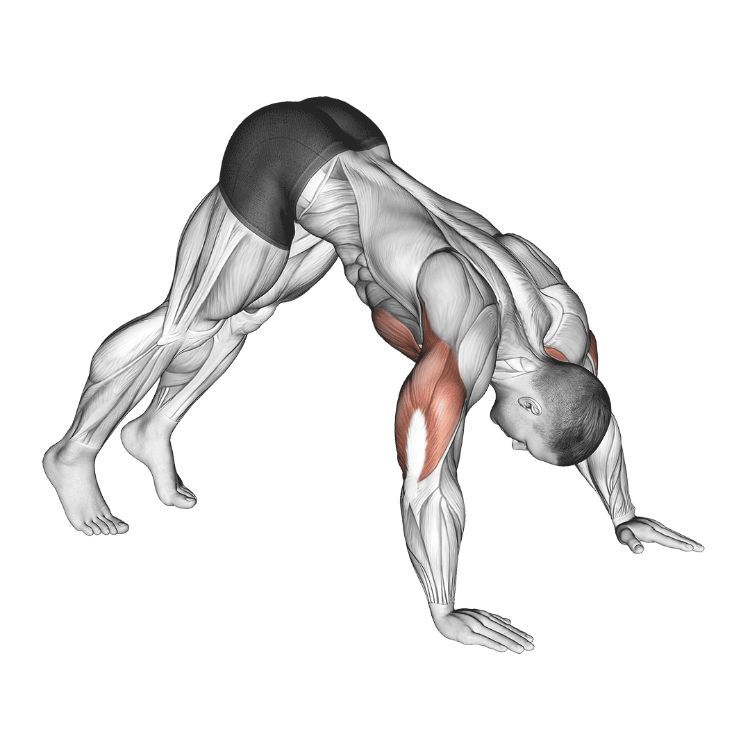 Pike Push Up