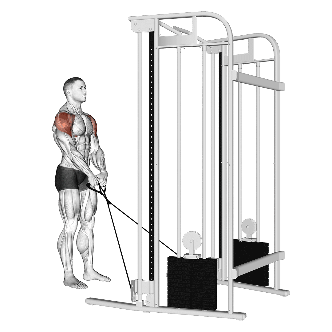 Cable Y Raise