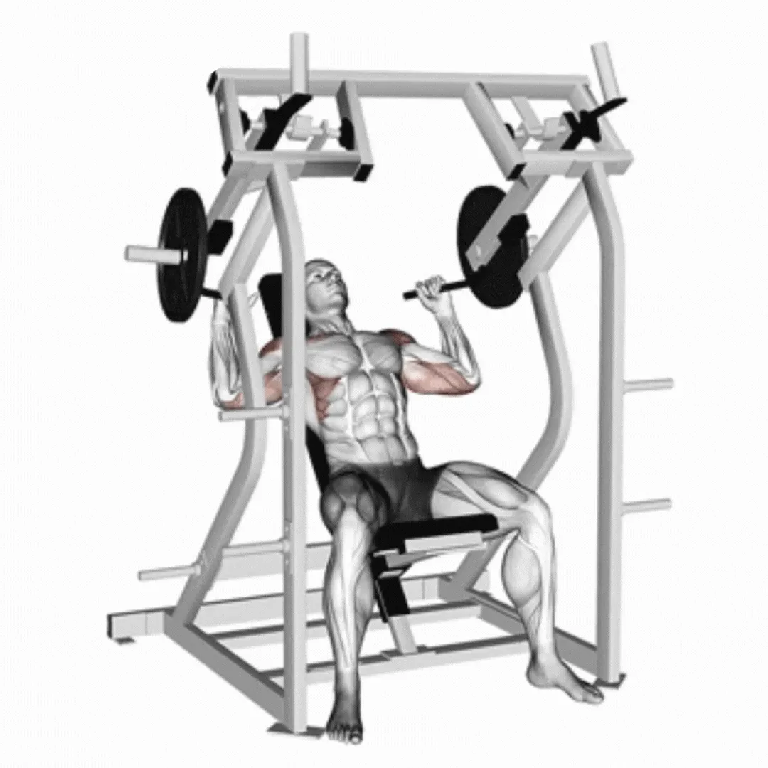 Plate Loaded Shoulder Press Machine