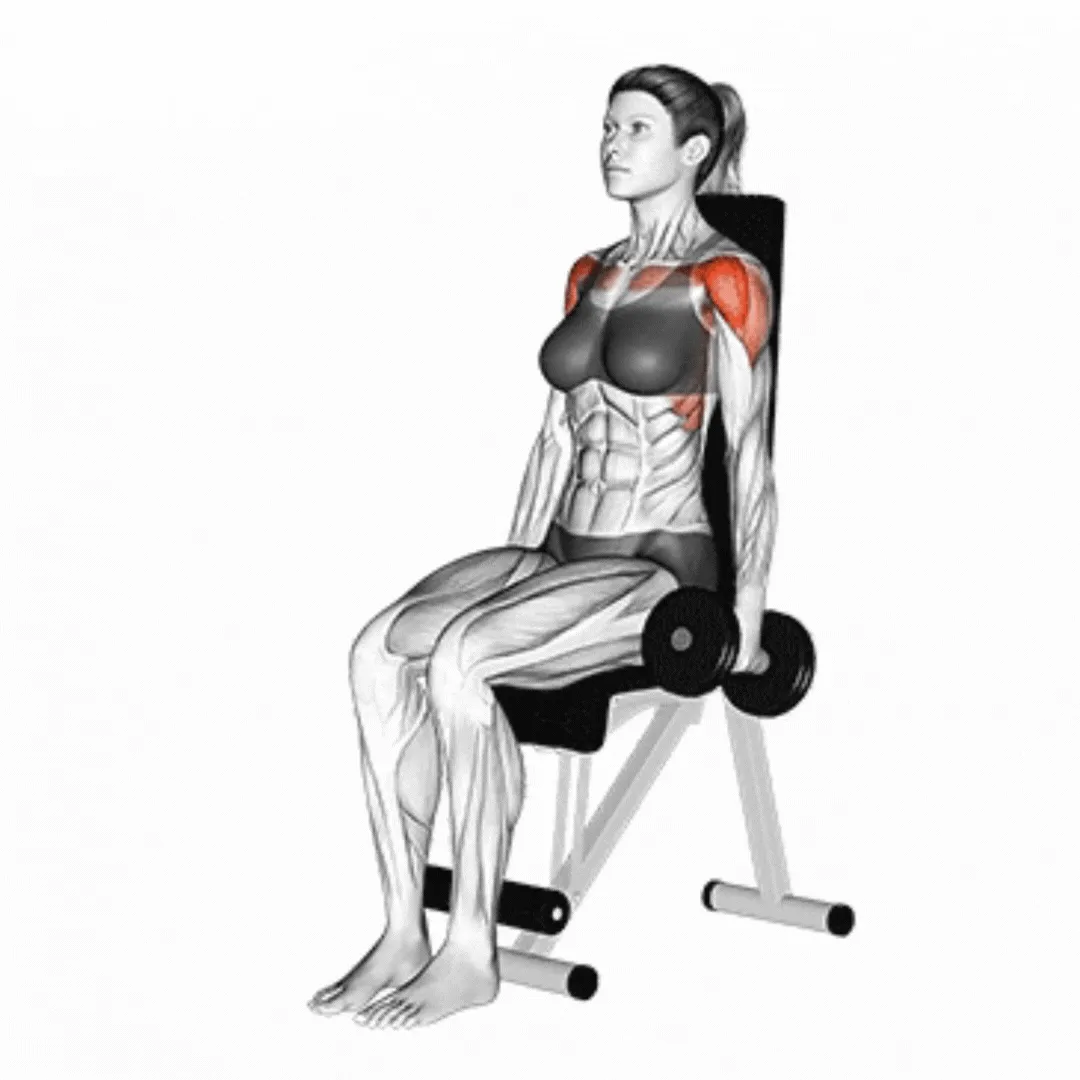 Seated Dumbbell Front Raise