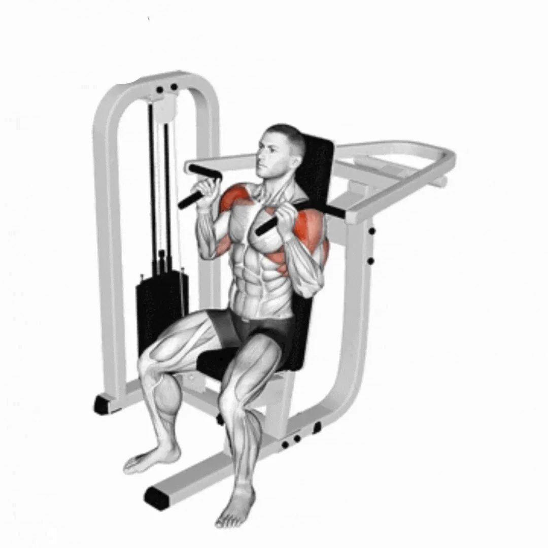 Lever Shoulder Press