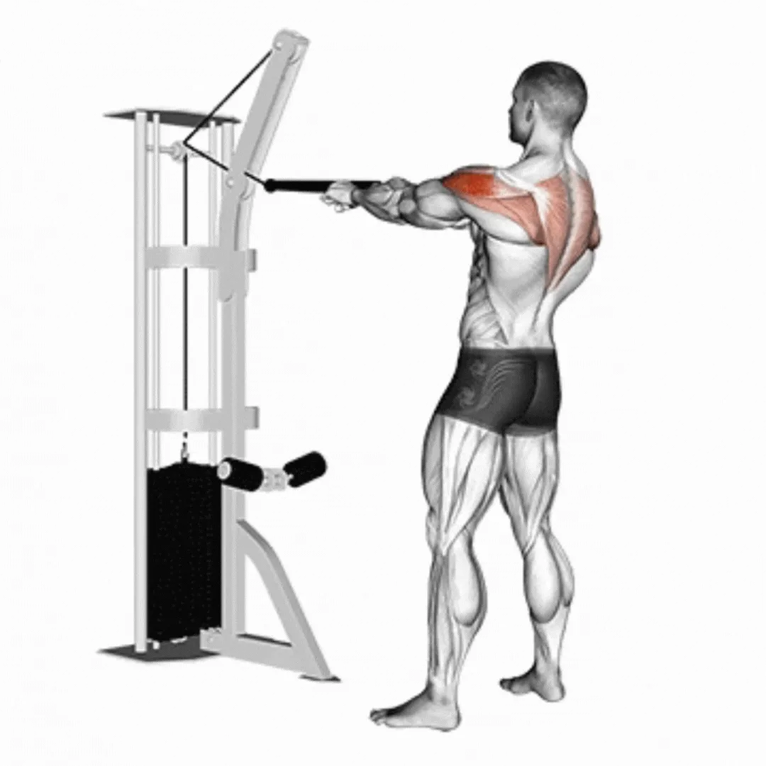 Cable Facepull (with rope)