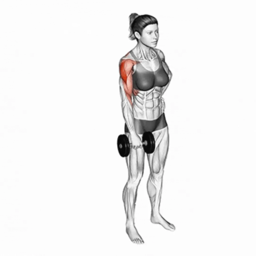 One-arm Dumbbell Upright Row