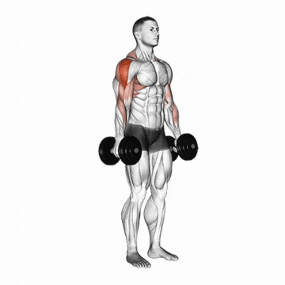 Dumbbell Rear Delt Raise
