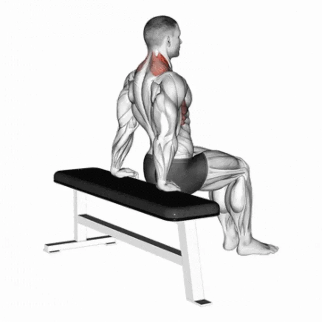 Scapular Dips