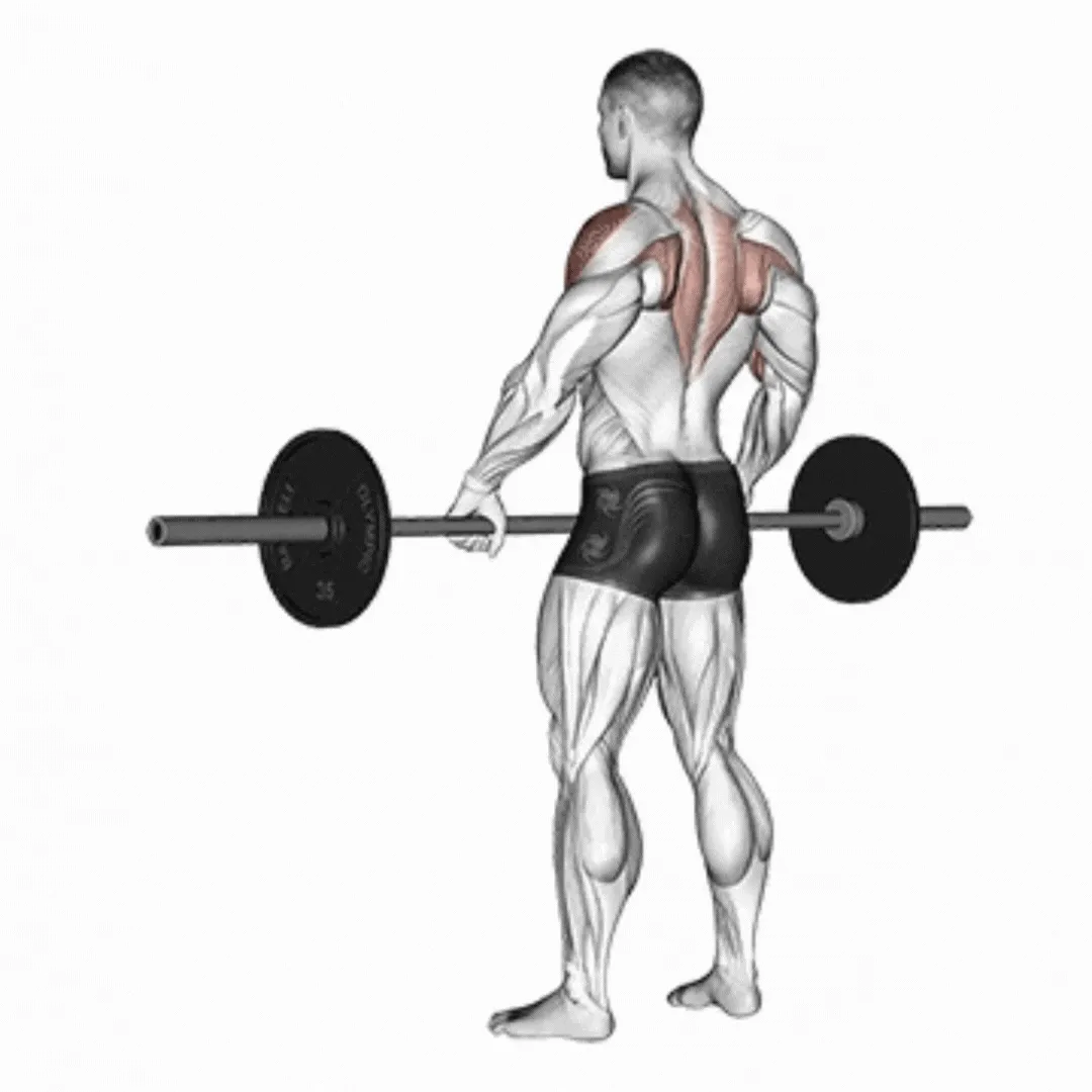 Barbell Wide Grip Upright Row