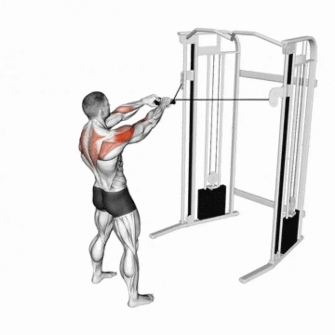 Cable Facepull
