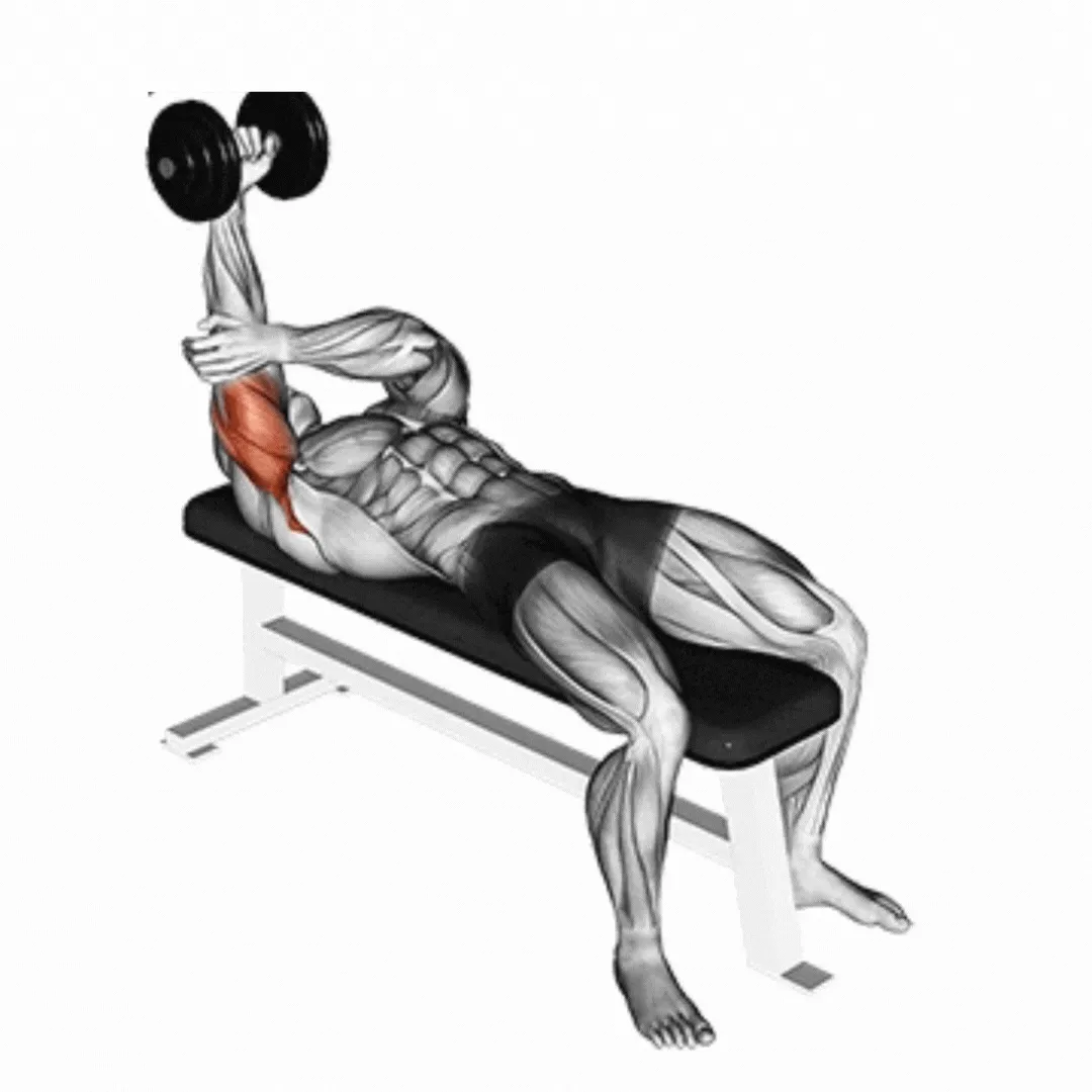 Dumbbell Lying One Arm Pronated Triceps Extension