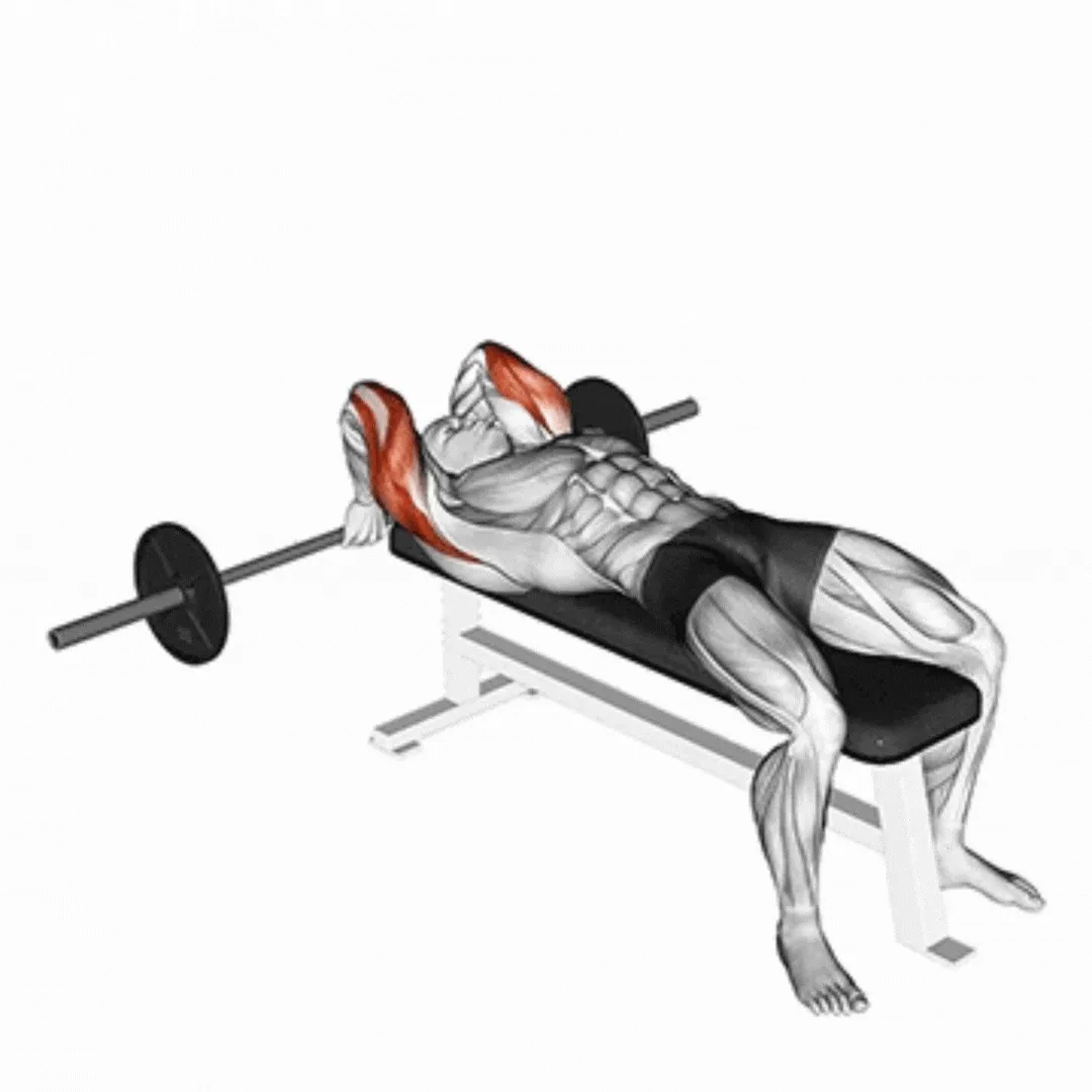 Barbell Lying Close Grip Triceps Extension