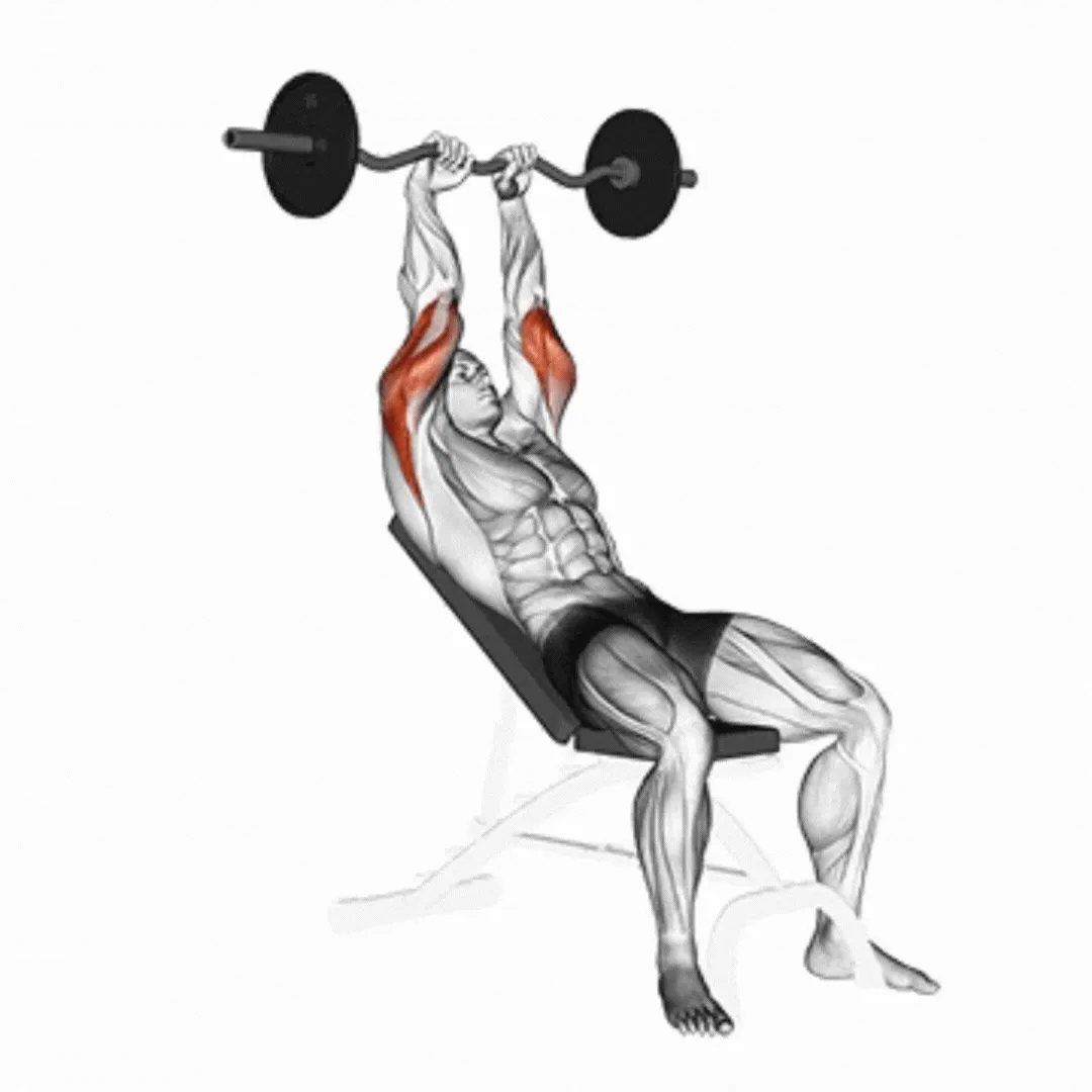 Cable Incline Triceps Extension Z-Bar