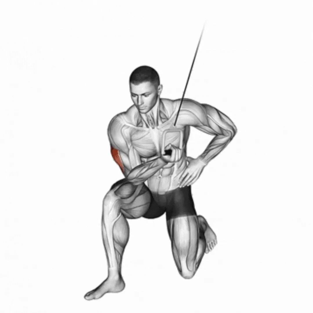 Cable Concentration Extension on Knee