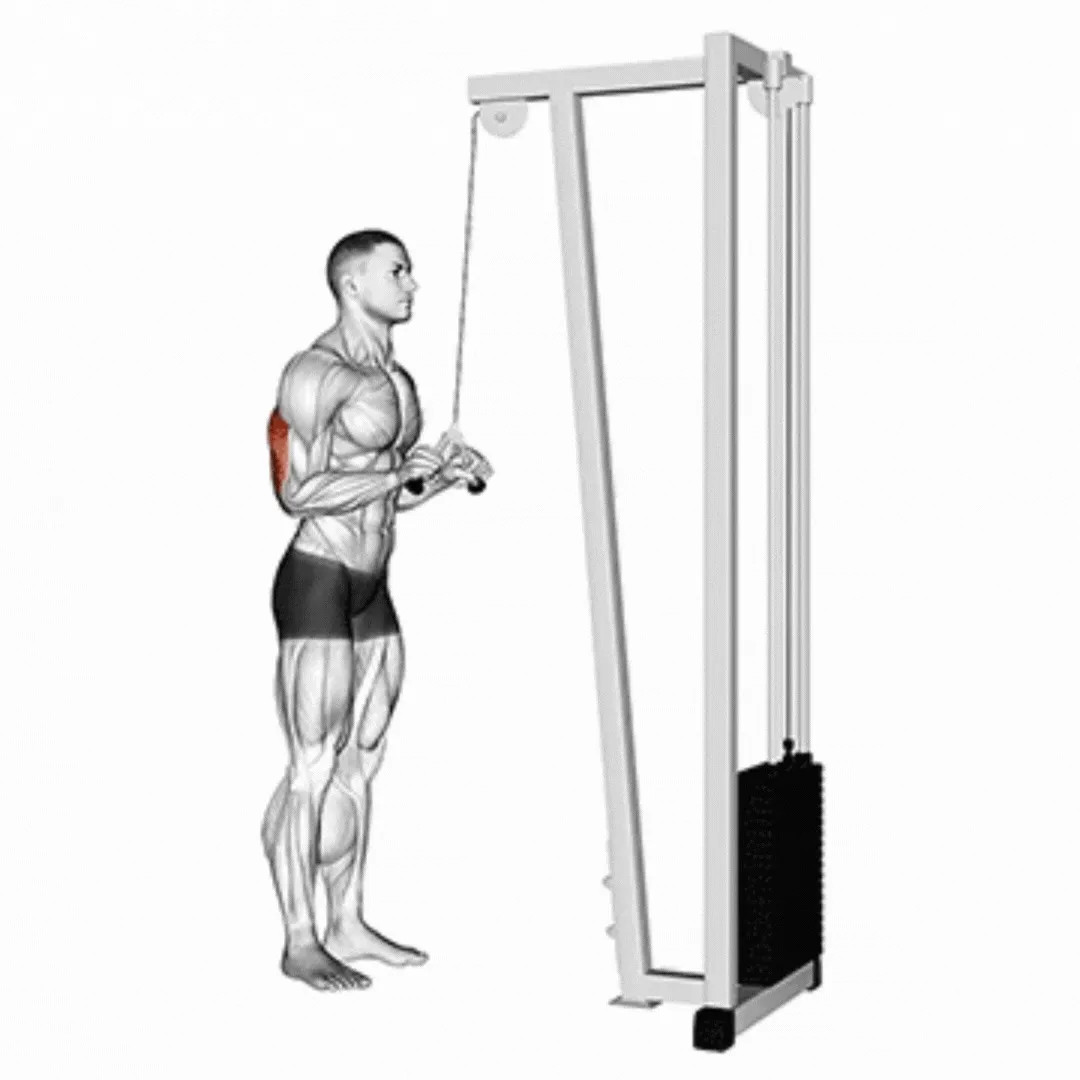 V-Bar Pushdown