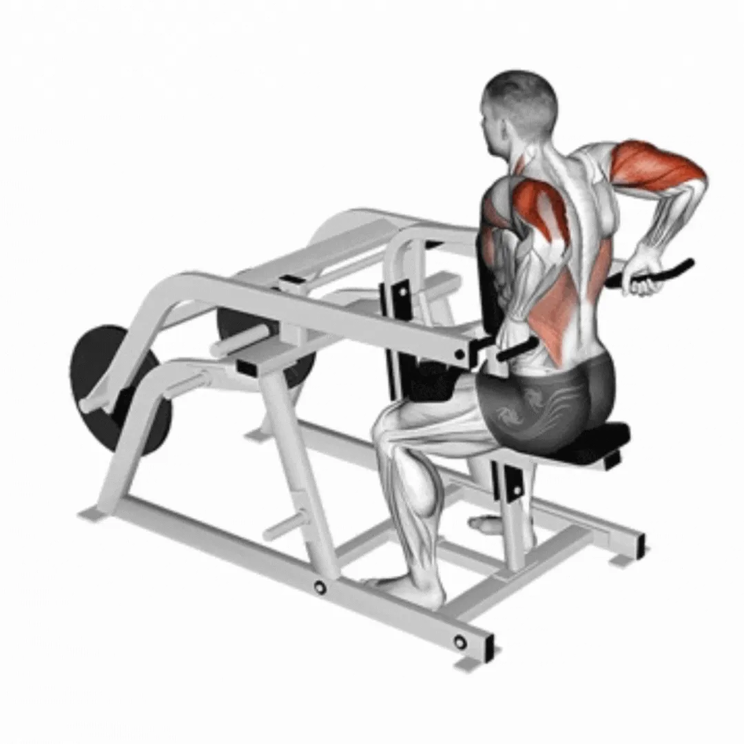Tricep Dips With Weights