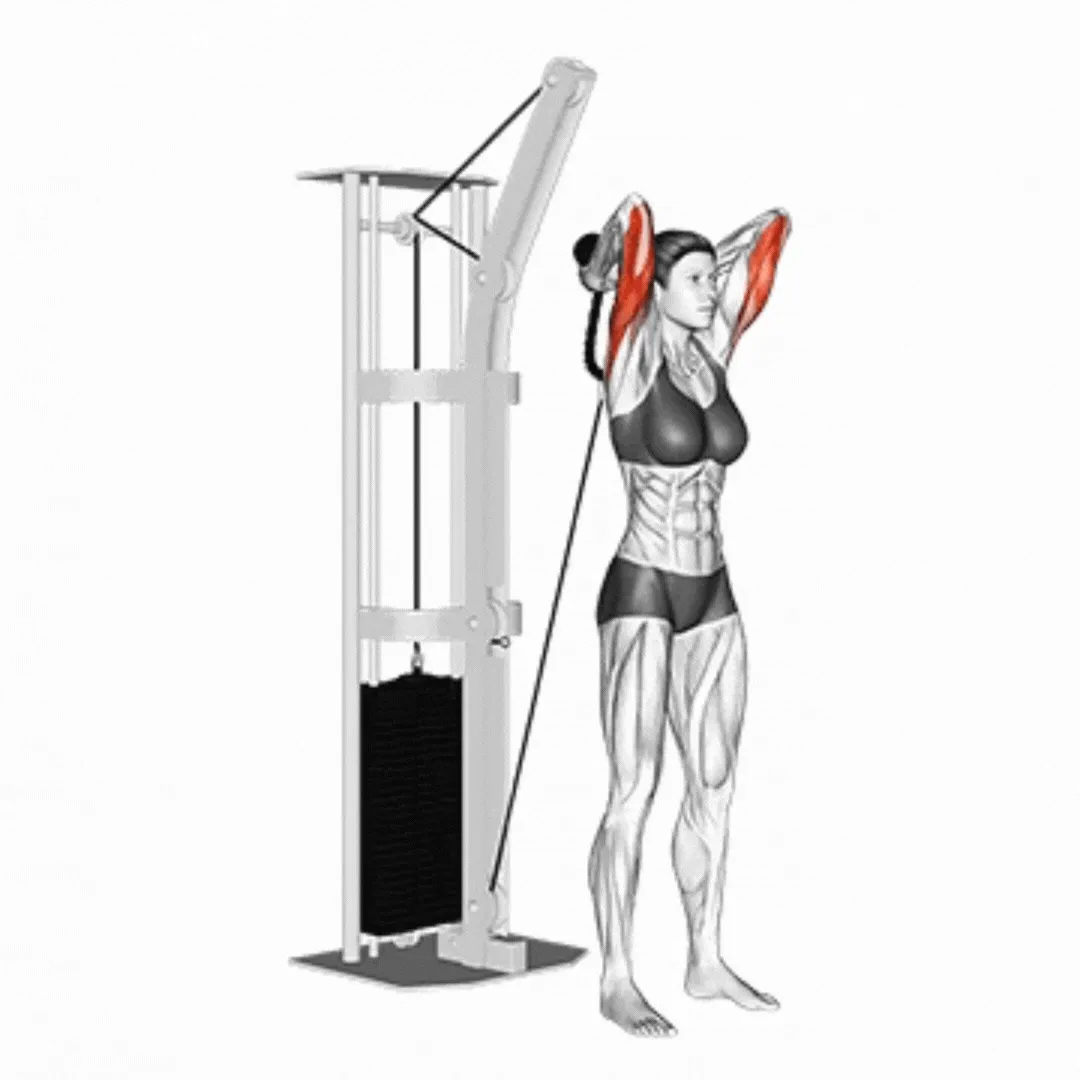 Overhead Cable Triceps Extension