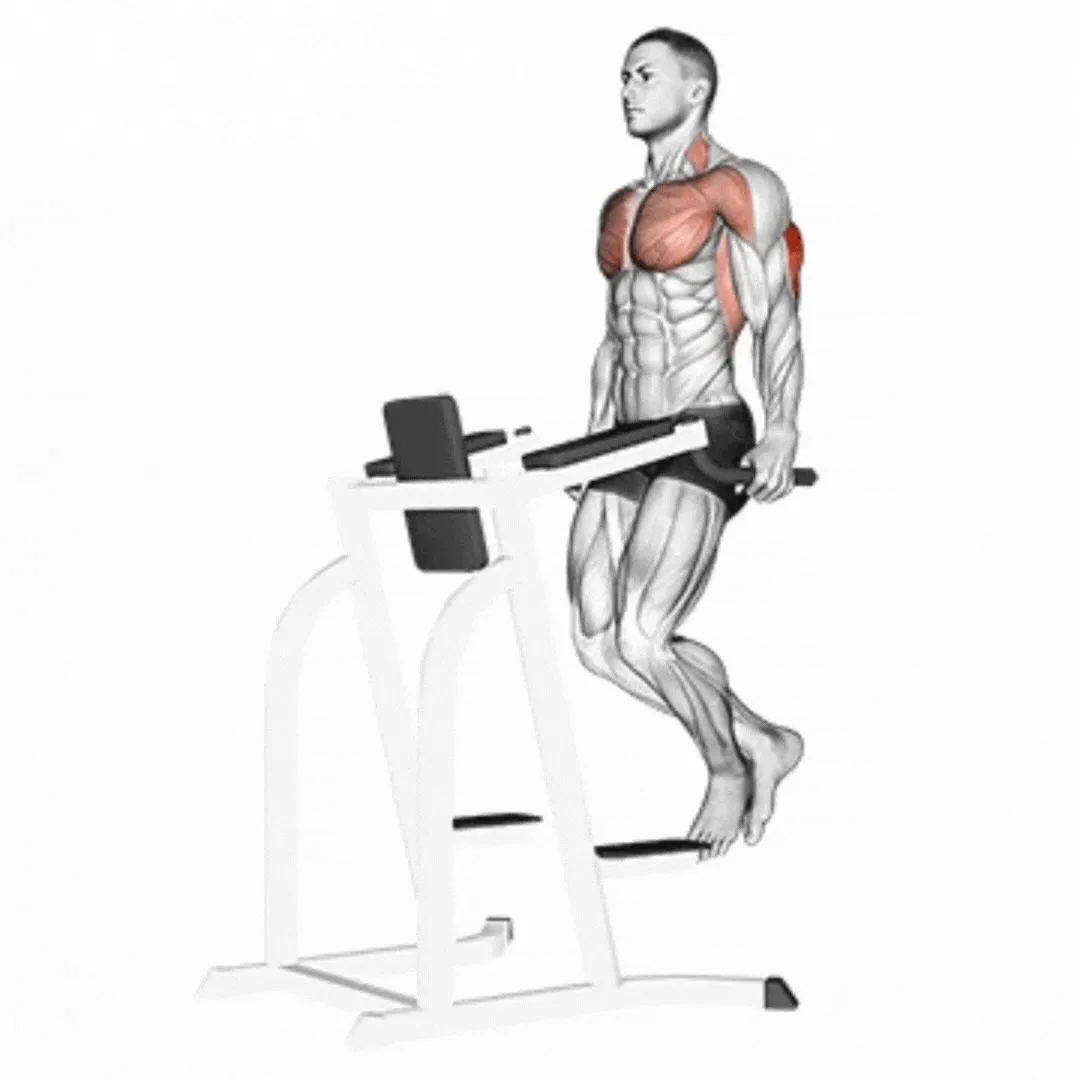 Chest Dips