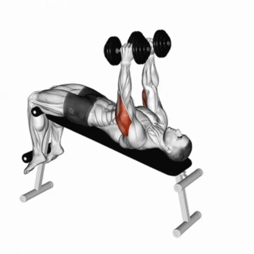 Decline Dumbbell Extension