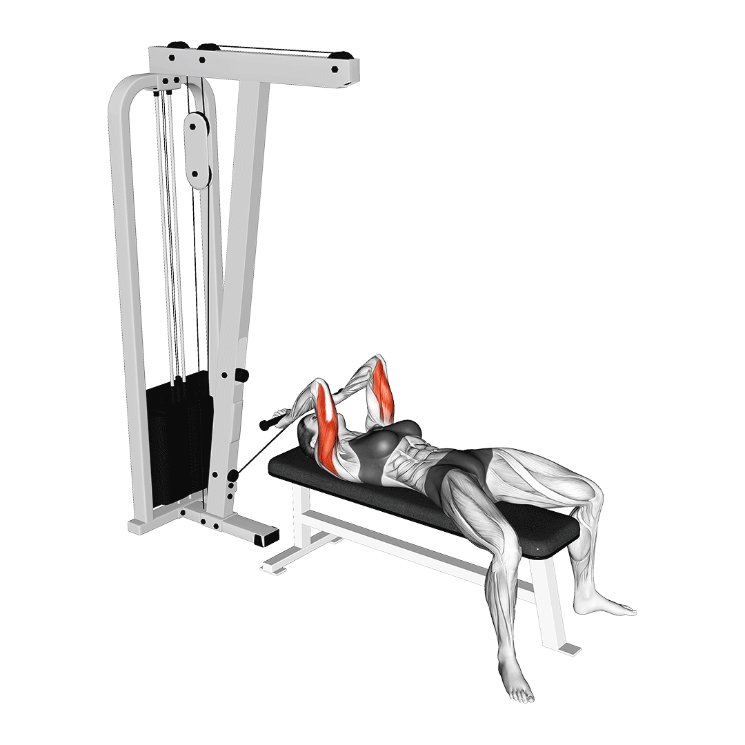 Cable Lying Triceps Extension