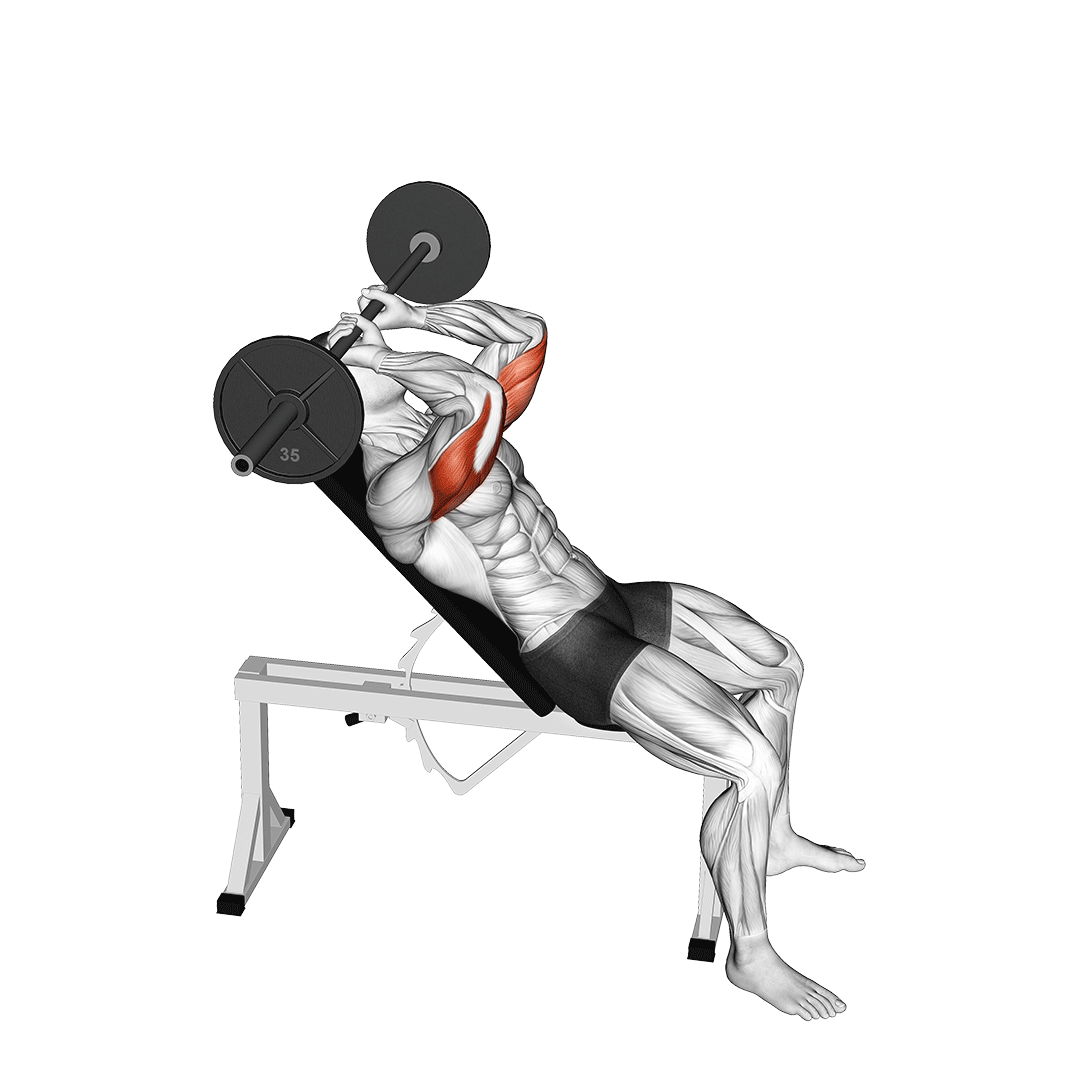 Incline Skull Crusher