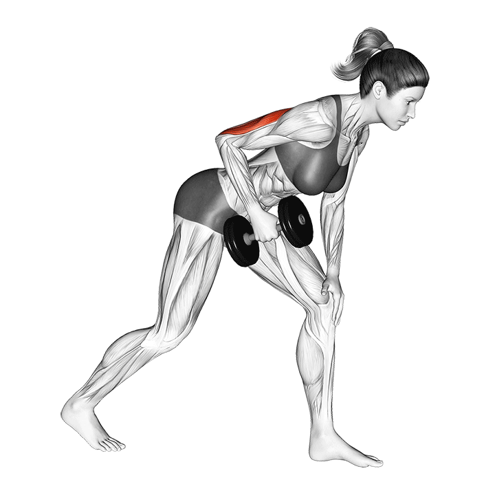 Dumbbell Triceps Kickback