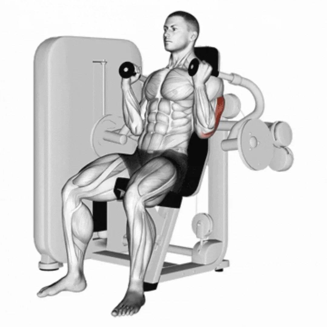 Triceps Extension Machine