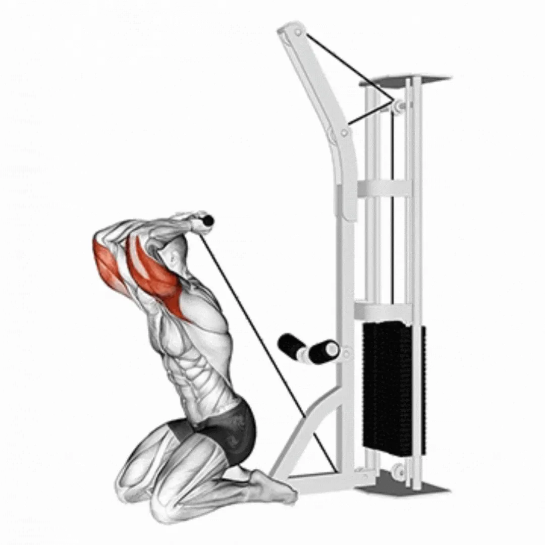 Kneeling Cable Triceps Extension