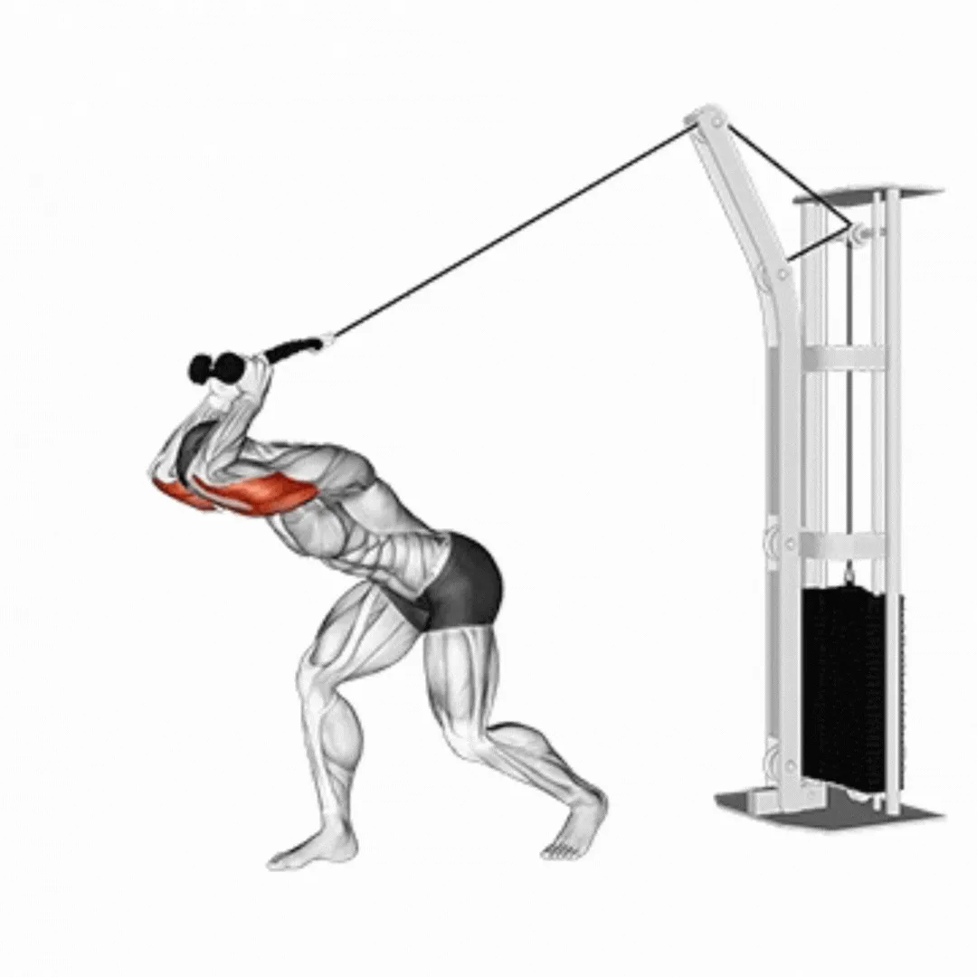 Cable Overhead Triceps Extension