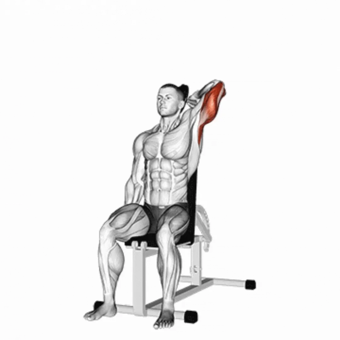 Seated One Arm Dumbbell Triceps Extension