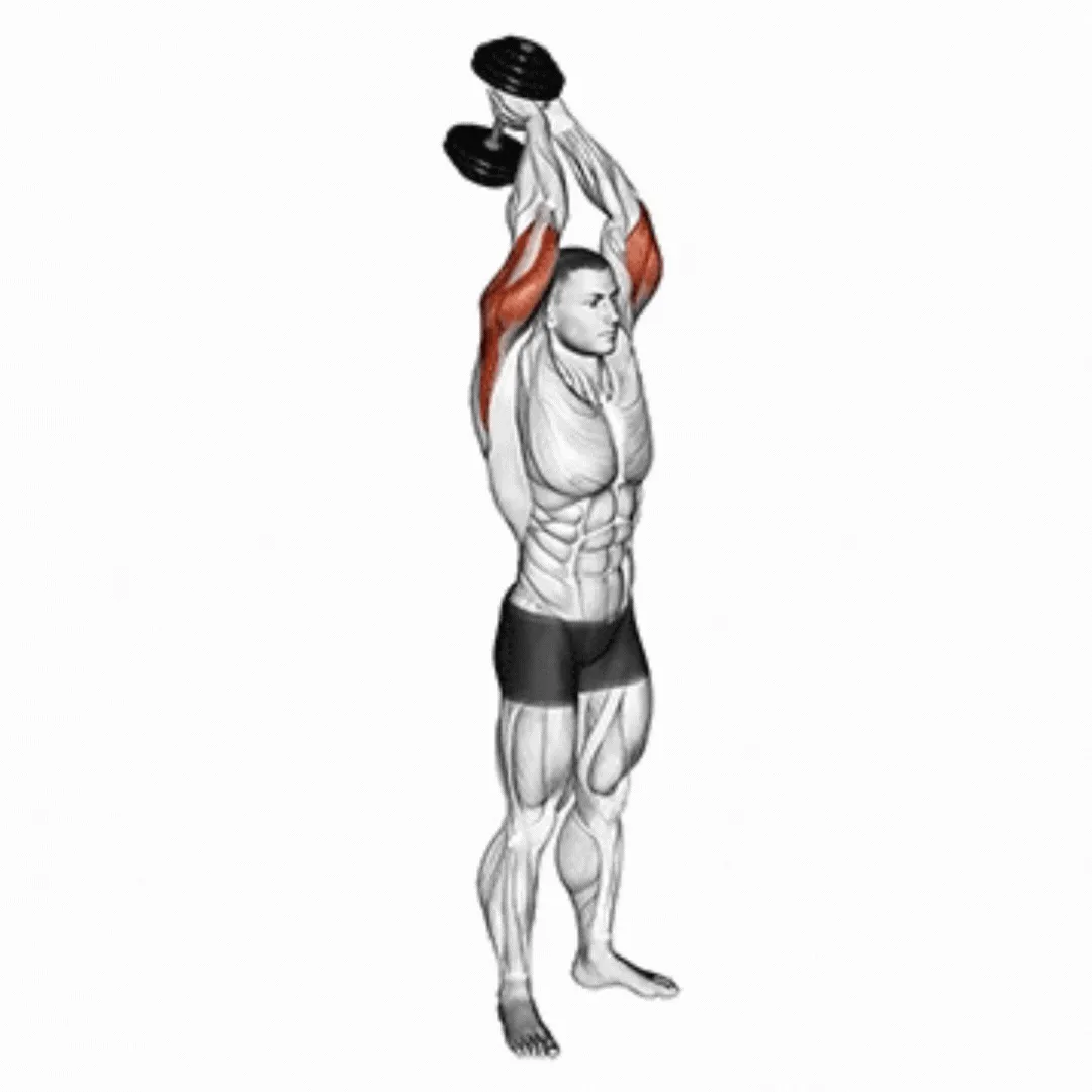 Dumbbell Standing Triceps Extension
