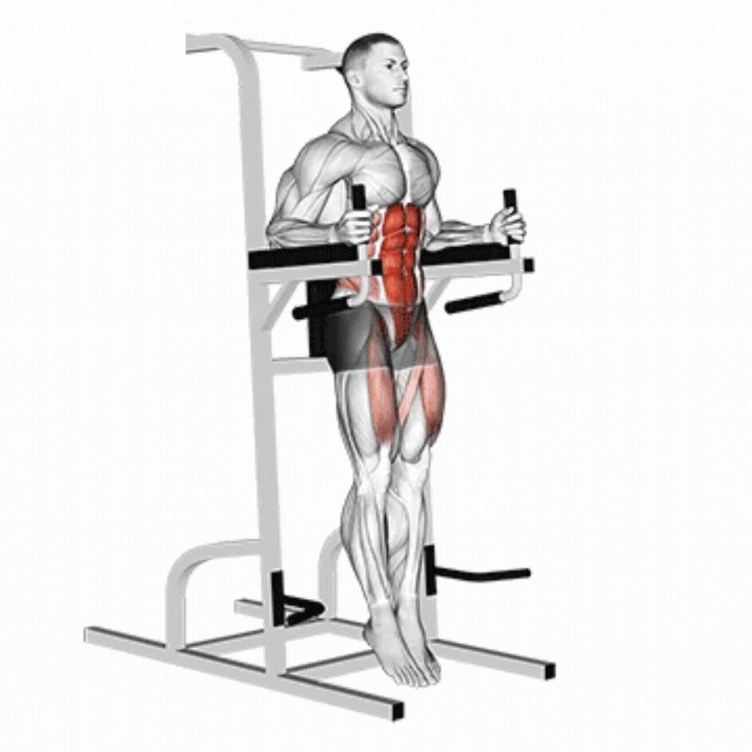 Captains Chair Leg Raise