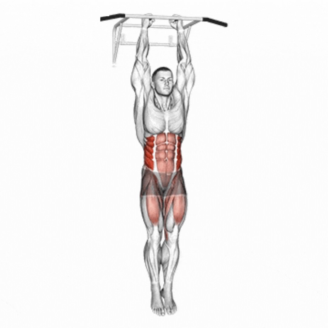 Hanging Side Knee Raises