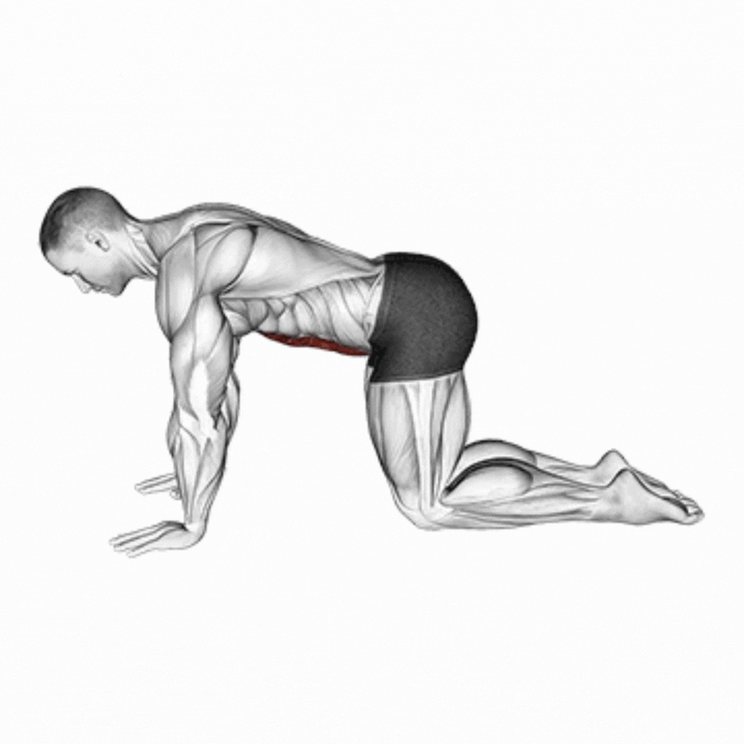 4 Point Tummy Vacuum Exercise