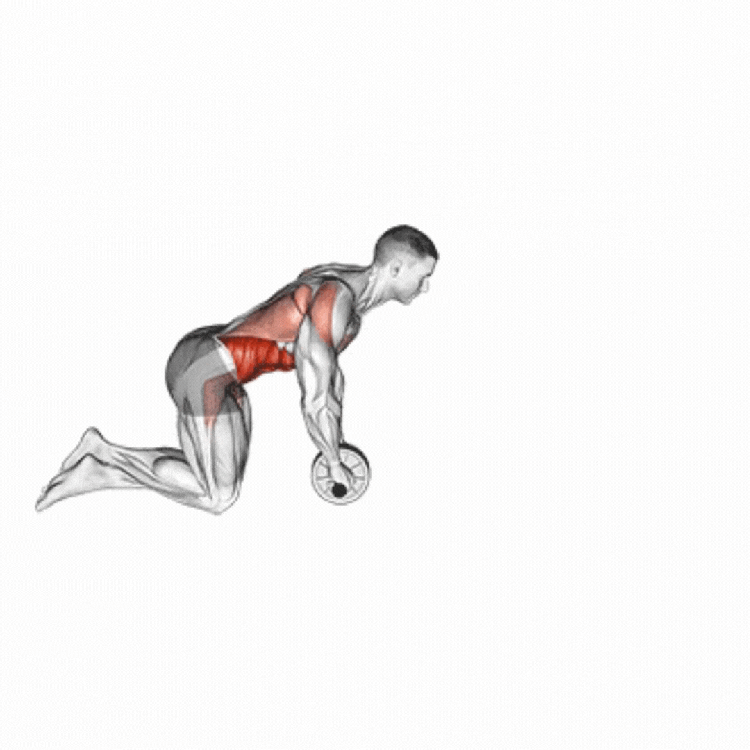 Ab Wheel Rollout