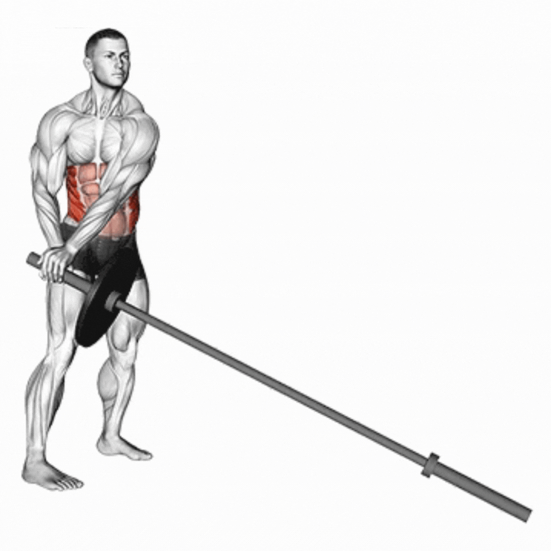 Landmine Twist