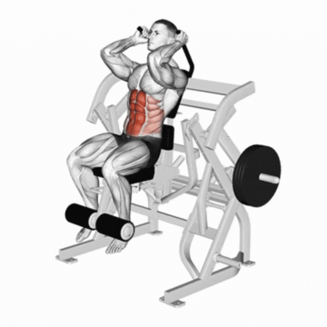 Lever Seated Leg Raise Crunch