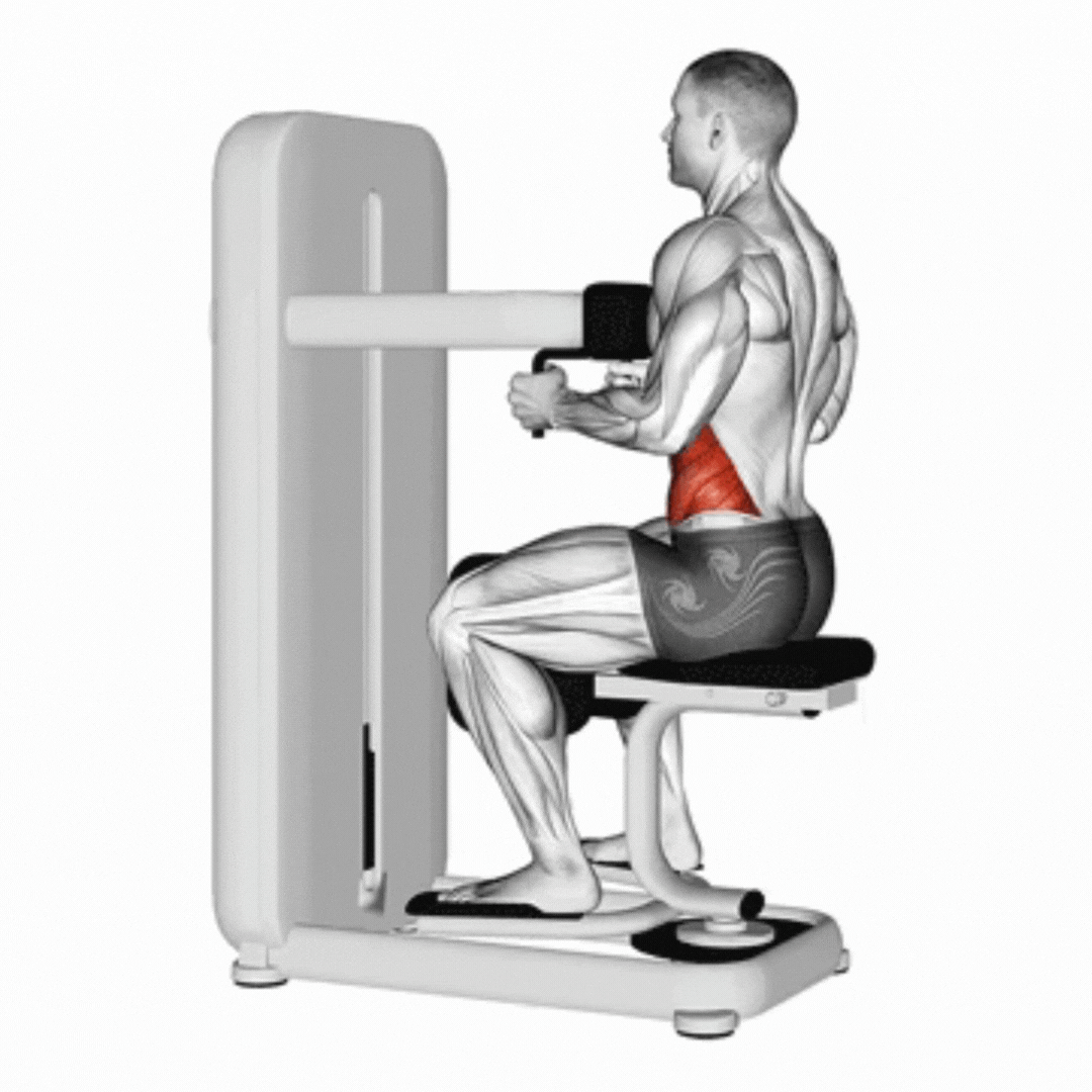 Lever Seated Twist