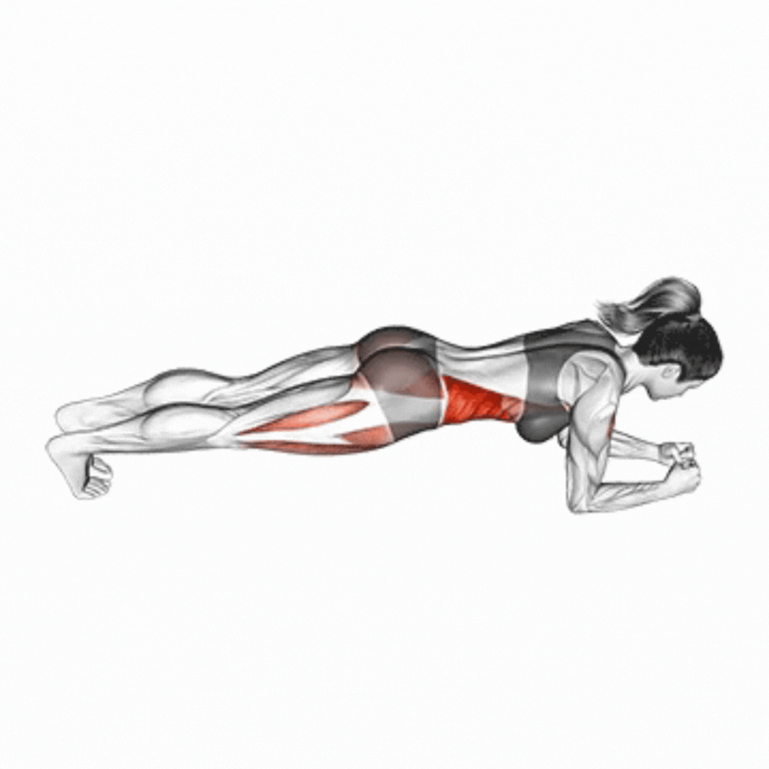 Spider Plank