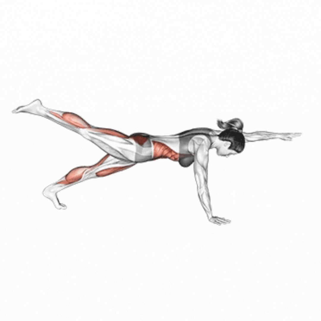 Front Plank With Arm And Leg Lift