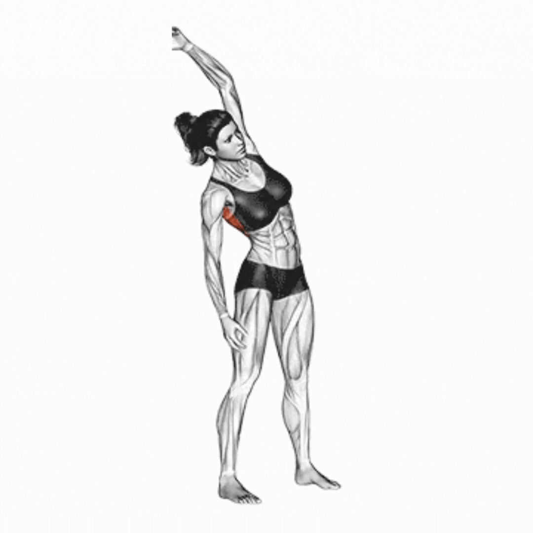 Standing Side Bend