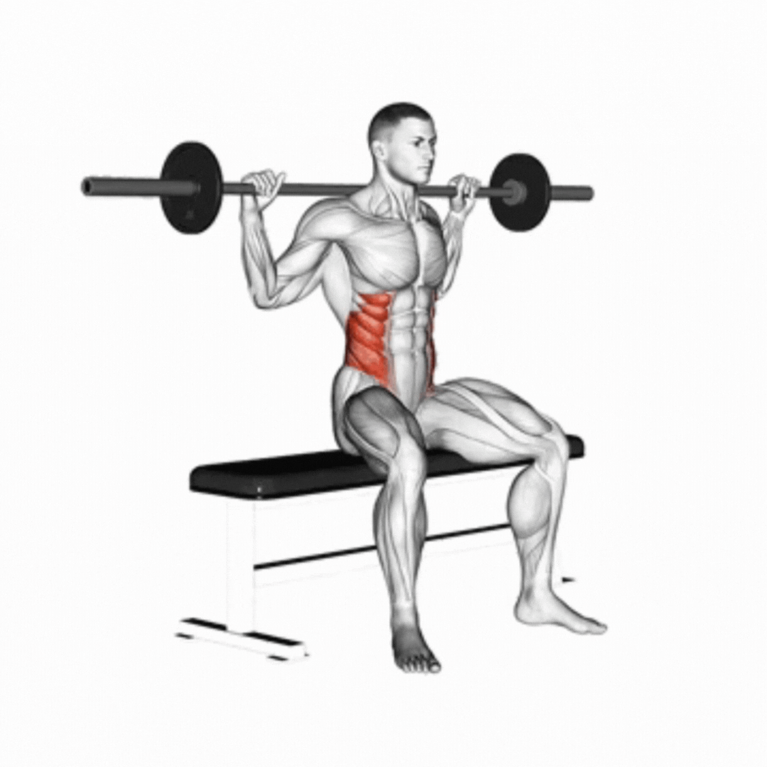 Seated Barbell Twist