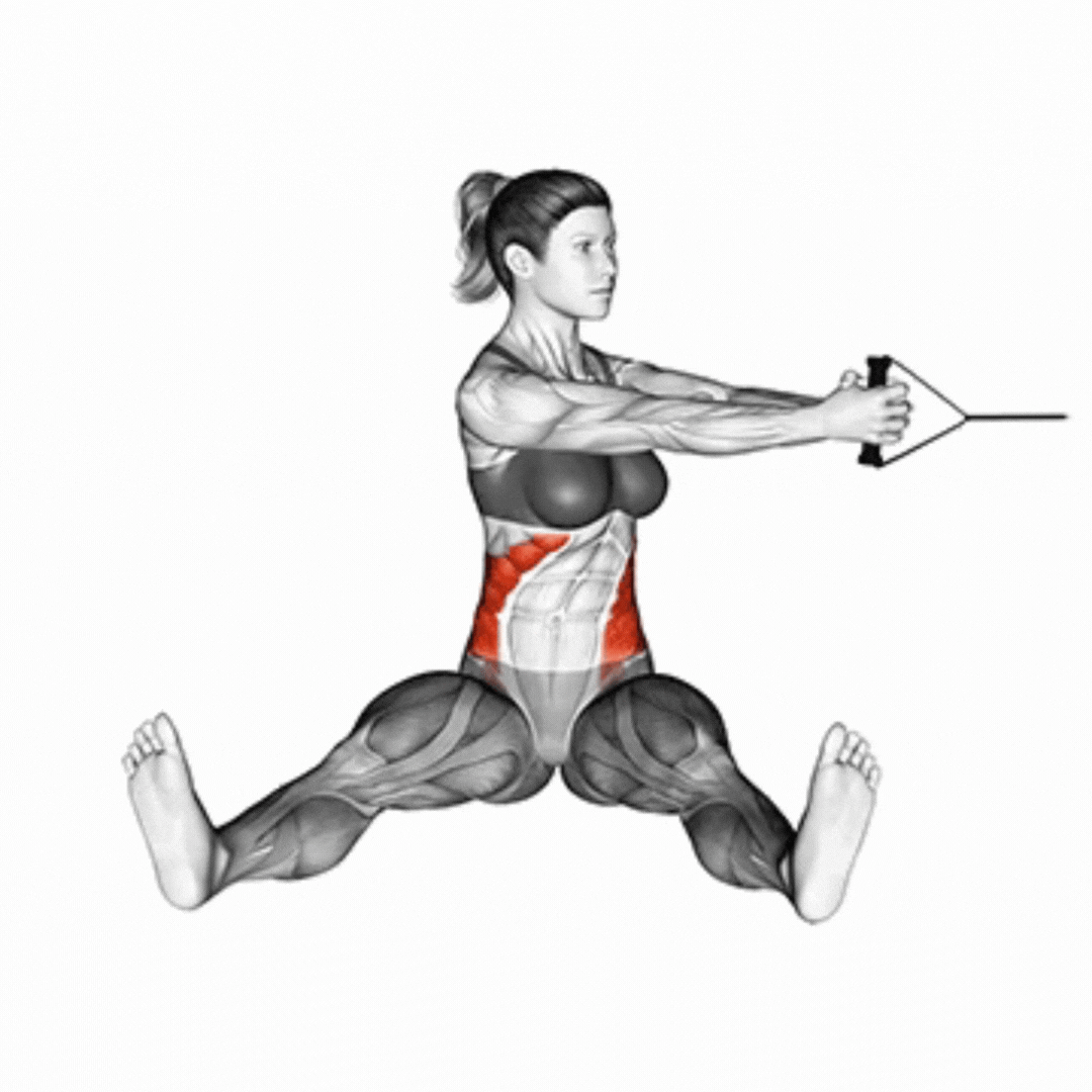 Seated Twist With Resistance Band